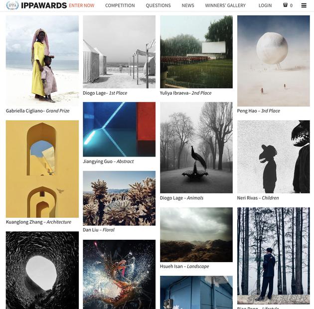 2019 ippa摄影大赛奖项公布 这是他们的手机摄影心得